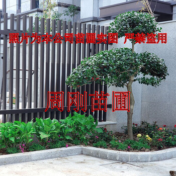 蘇州別墅花園設(shè)計(jì)、庭院綠化設(shè)計(jì)施工、別墅景觀樹(shù)苗圃基地