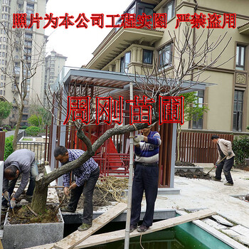 蘇州別墅庭院綠化設(shè)計施工、庭院景觀綠化、別墅綠化苗圃基地