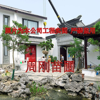 蘇州別墅園林綠化設計、別墅私家花園施工、庭院綠化苗圃基地