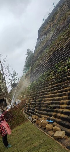邊坡生態(tài)綠化，園林綠化