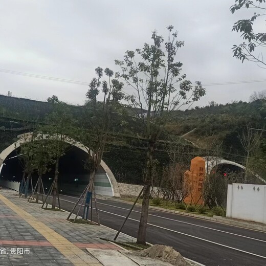 武汉湖北绿化工程、园林绿化、小区绿化