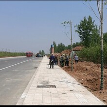衡陽鄉(xiāng)村道路景觀提升綠化、道路養(yǎng)護圖片