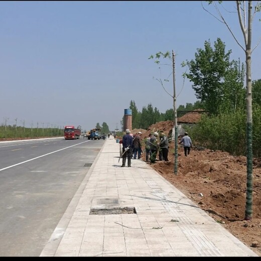 衡陽(yáng)鄉(xiāng)村道路景觀提升綠化、道路養(yǎng)護(hù)