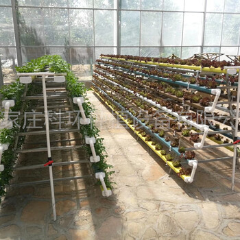 水培管水培蔬菜水培植物水培管生產(chǎn)水培溫室種植方式有哪些