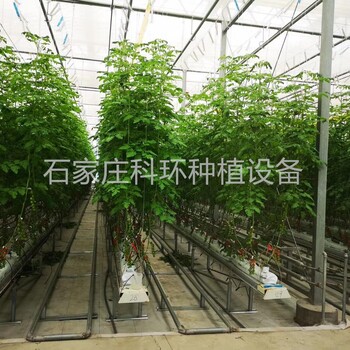 荷兰几字槽栽培番茄荷兰模式PVC几字槽什么是几字型栽培槽系统