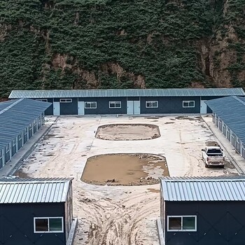 阳泉搭建彩钢棚钢结构厂房矿区钢结构弧形棚工程承包