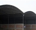 天津搭建鋼結構鋼筋棚工程濱海新區彩鋼弧形棚承包