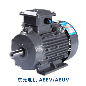 AEVF1HP（0.75KW）4P东元电机