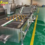 蔬菜加工前處理清洗線果蔬高壓噴淋清洗機全自動清洗氣泡設備
