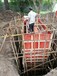 上海普陀新建检测井上海排水检测井安装上海改造检测井公司