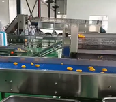 黄桃猕猴桃橘子罐头水果罐头灌装生产线