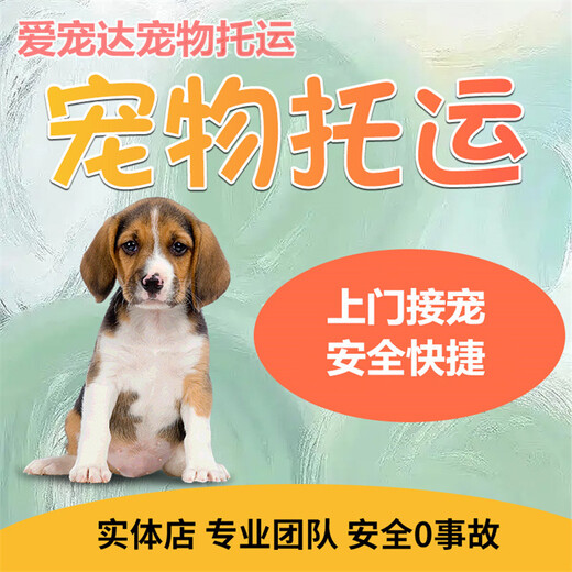 沧州寄宠物宠物托运空调专车托运
