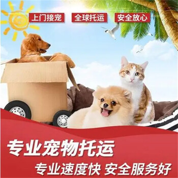 杭州到鸡西宠物托运客户满意度高