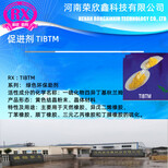 环保助剂TIBTM荣欣鑫促进剂CAS号204376-00-1