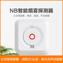 艾礼安nb-iot烟雾探测器家用酒店医院烟雾报警器