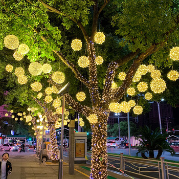 忻州LED节日户外装饰彩灯串灯渔网灯挂树灯串绕树灯