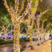 成都市政节日装饰彩灯串灯户外街道挂树装饰灯串灯笼中国结灯图片