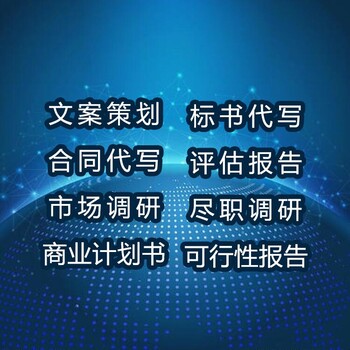 撰寫項目計劃書商業(yè)計劃書代寫
