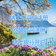 德国.webp (1)