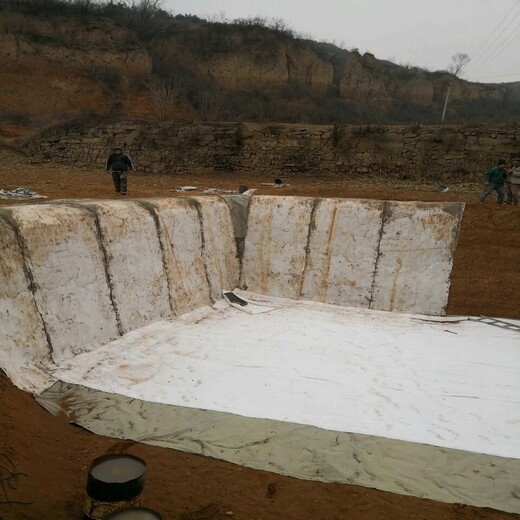 西藏河道改造，路护坡用8公斤水泥毯每平方米多少钱