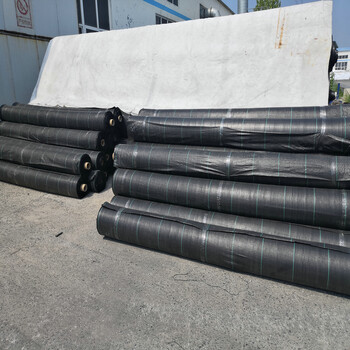 查看果園PE防草布80g+90g+100克茶園防草地布湖南
