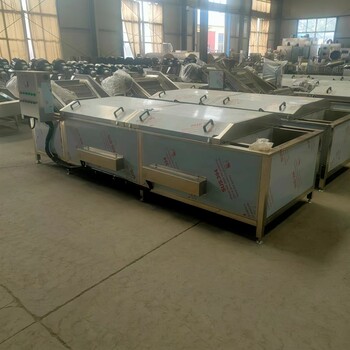 佳品全自動蔬菜護色機果蔬固色機蔬菜殺青機廠家現(xiàn)貨銷售