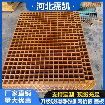 南京綠化樹篦子格柵玻璃鋼玻纖格柵網(wǎng)河道護(hù)坡蓋板