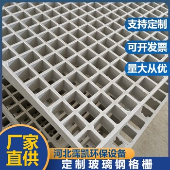 南京綠化樹篦子格柵玻璃鋼玻纖格柵網(wǎng)河道護(hù)坡蓋板