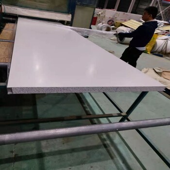 彩钢硅岩夹芯板岩棉净化板上海彩钢净化板厂家