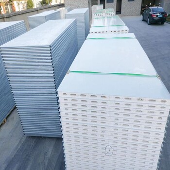 50mm中空玻鎂凈化板實驗室無塵車間潔凈板上海凈化板廠家定制
