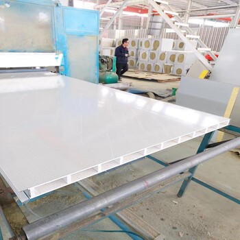 机制中空玻镁净化板实验医疗无尘工程车间洁净板彩钢净化板