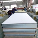 上海玻鎂手工凈化板巖棉夾芯板無(wú)塵車(chē)間食品廠凈化工程