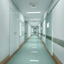 上海無塵車間潔凈板巖棉玻鎂復合板凈化彩鋼板隔墻