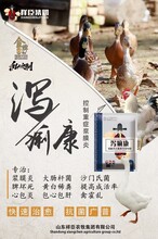 鹅瘫痪腿瘸大肠杆菌浆膜炎包心包肝就用泻痢康