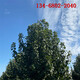 1639032858(1)