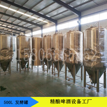 500升小型精酿啤酒设备家用酿酒设备啤酒机扎啤机啤酒厂