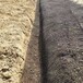 博尔塔拉温泉生态毯柔性水土保护毯怎么联系