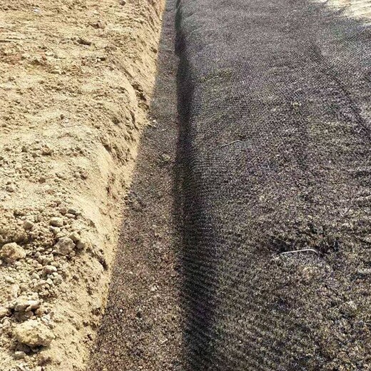 荆州监利植草毯生态水土保护毯厂家
