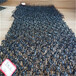 枣庄薛城区水土保护毯水土保护毯7020厂家直供