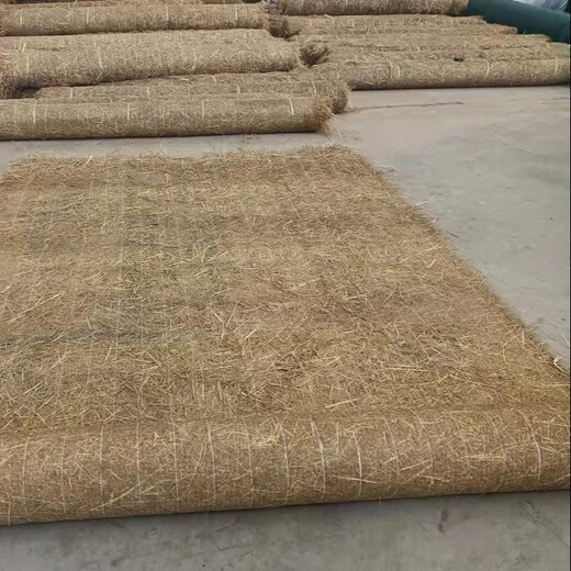 郑州上街椰丝植物纤维毯供货商