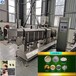 邯郸市污水处理阿尔法预糊化淀粉设备工艺流程