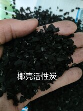 飲料廠廢椰殼活性炭處理回收廠圖片