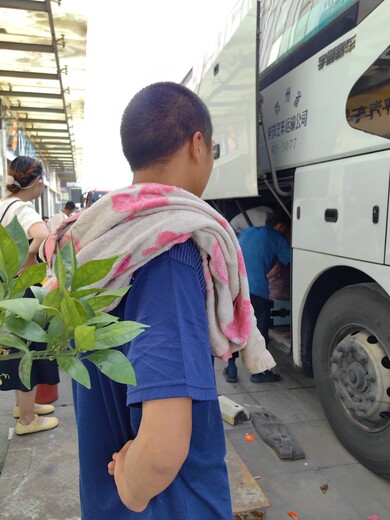 大巴车）无锡到莒南客车汽车班次查询表(票价+客车/发车时刻表)2023客车