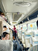 2023晉江至靖江的長途汽車