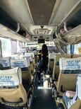 班次查询)江阴至德州大巴客车2023的客车查询图片2