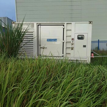 潛江發(fā)電機租賃出租24小時在線本地貼心服務(wù)