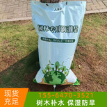圖片0