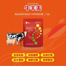 華中牧大牛羊美圖片