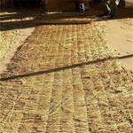 生产批发草帘草苫子植草毯秸秆草毯水保草毯矿山修复绿化