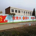天津墙体喷画西青区文化墙彩绘社区彩绘书写墙体字